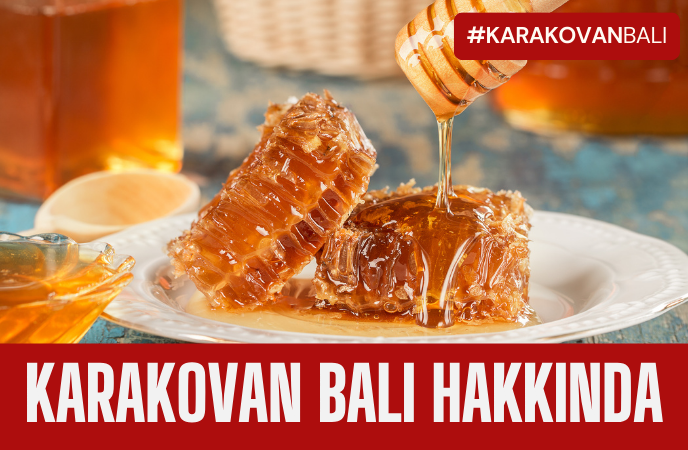 Karakovan Balı: Doğal Şifa Kaynağı 