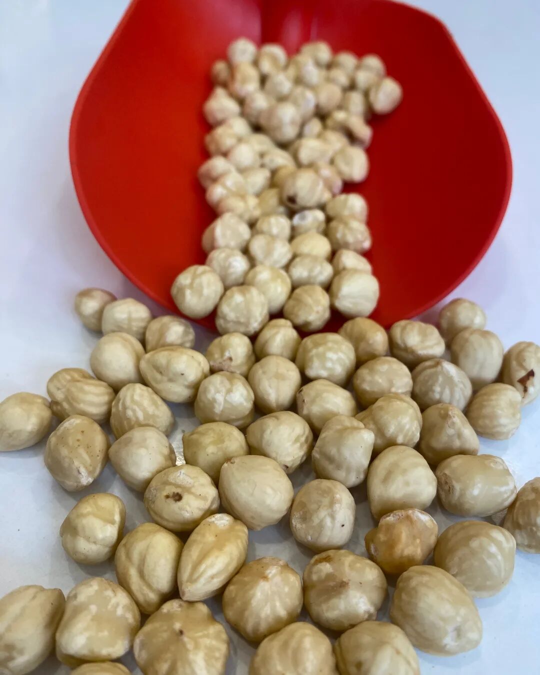 Kavrulmuş Fındık İçi