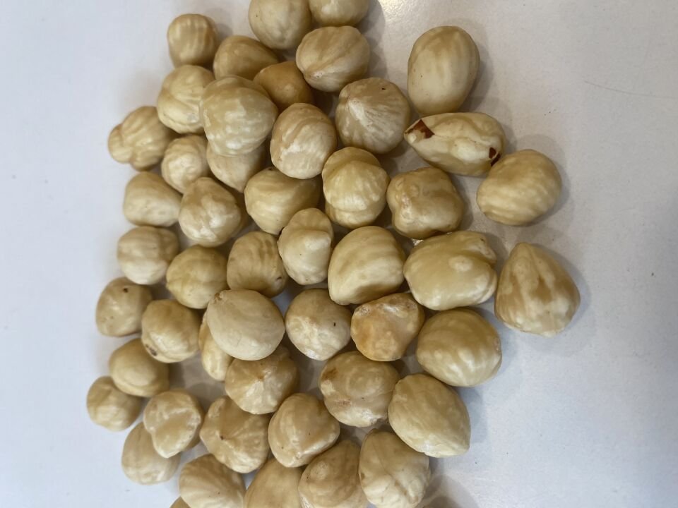 Kavrulmuş Fındık İçi