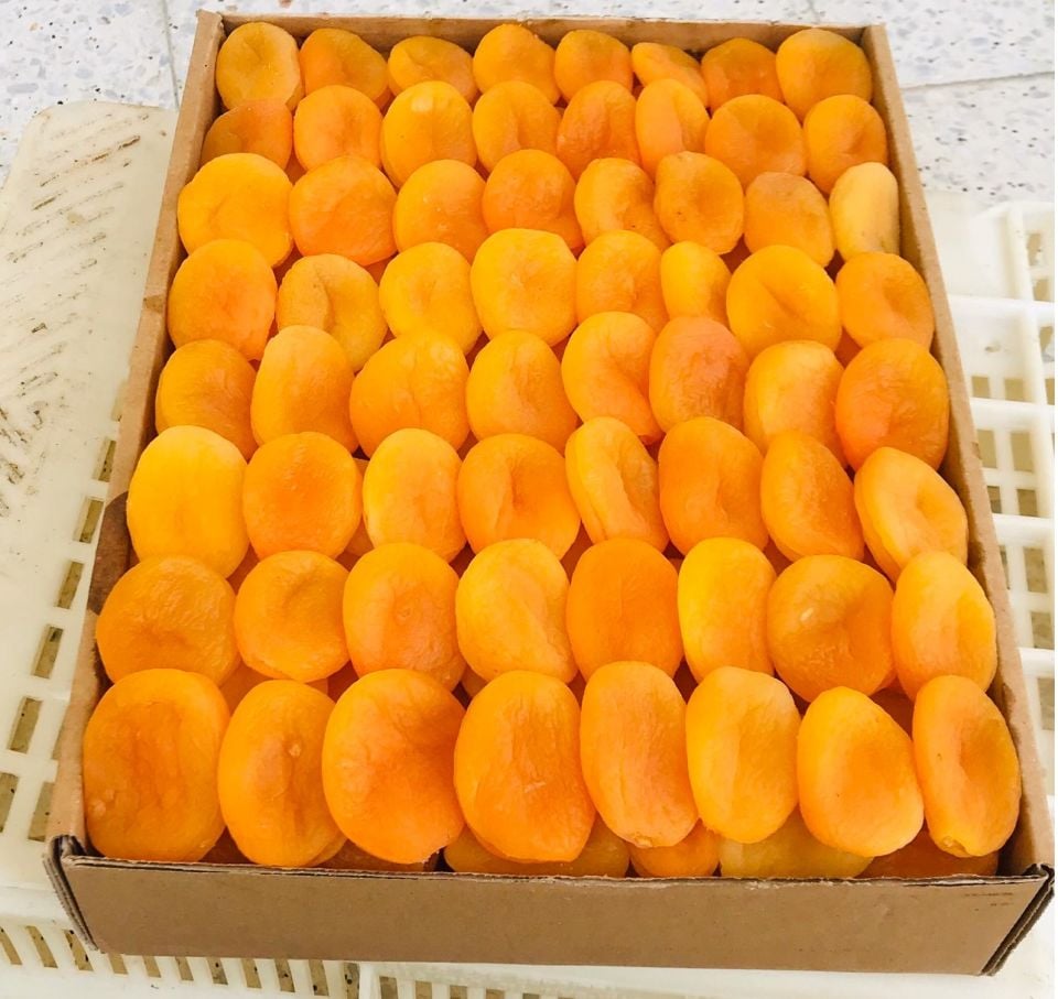 Gün Kurusu Kayısı